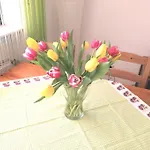 Ferienwohnung-alb Apartamento Burladingen