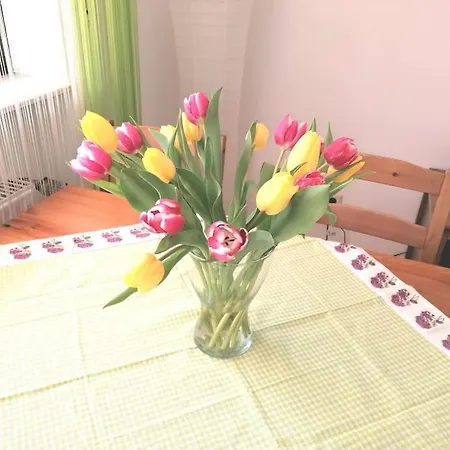 Ferienwohnung-alb Apartment Burladingen